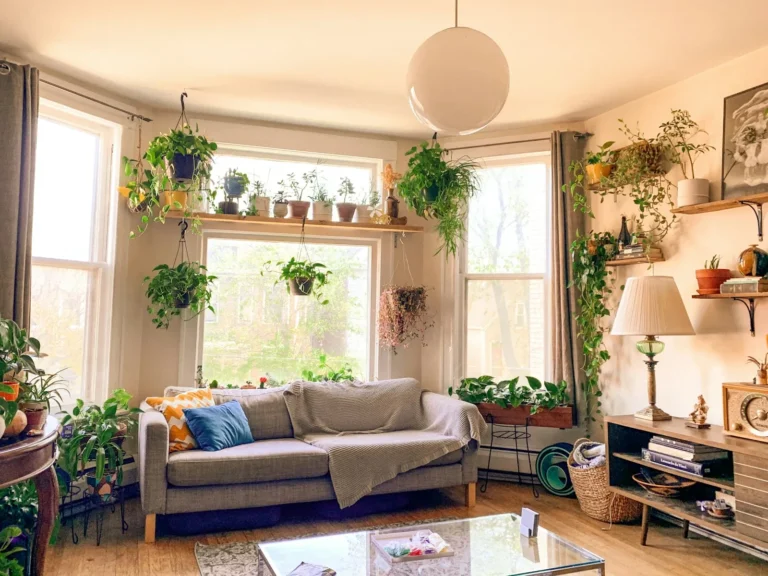 Sala de apartamento com plantas perto da janela