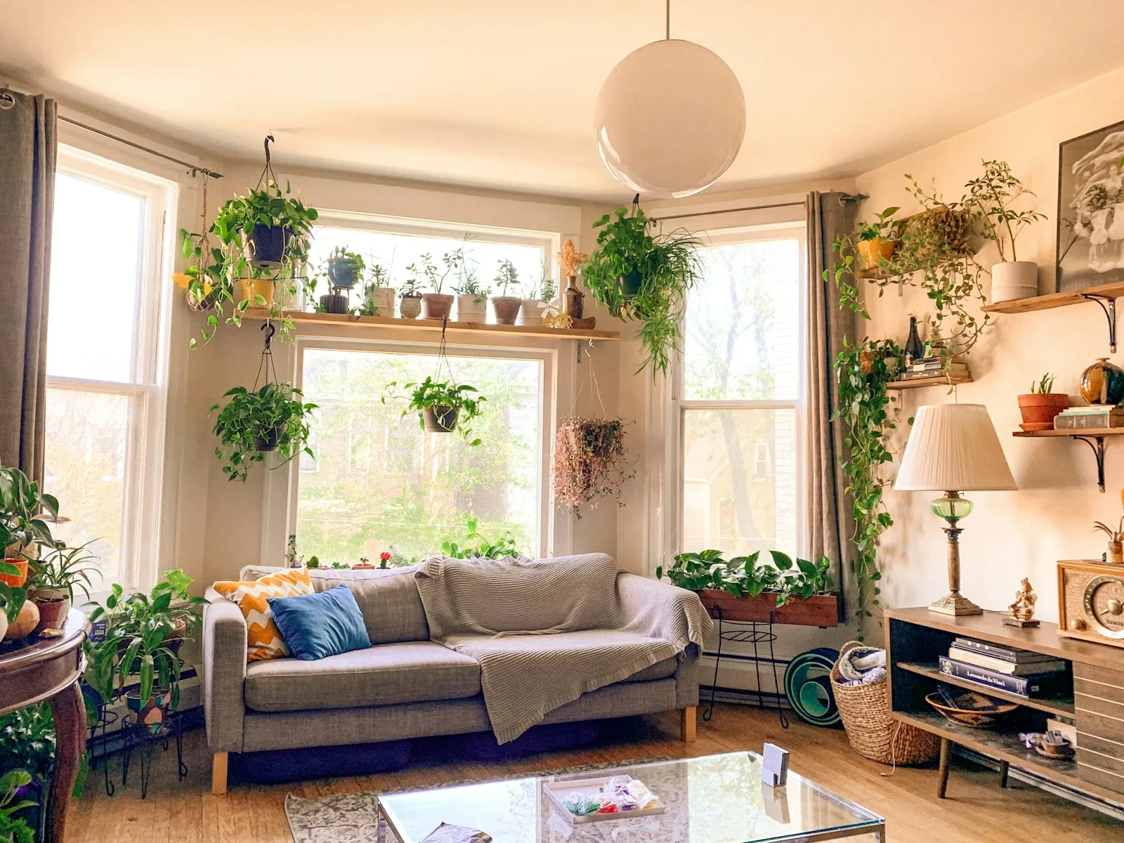Sala de apartamento com plantas perto da janela